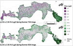 Estimation of Chlorophyll-a Concentrations in Lanalhue Lake Using Sentinel-2 MSI Satellite Images