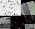 Refining image-velocimetry performances for streamflow monitoring: Seeding metrics to errors minimization